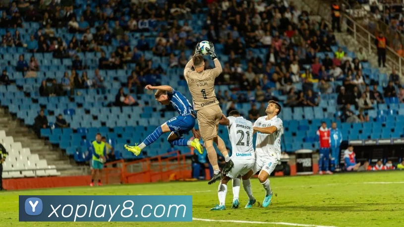 星欧娱乐官网平台生态图