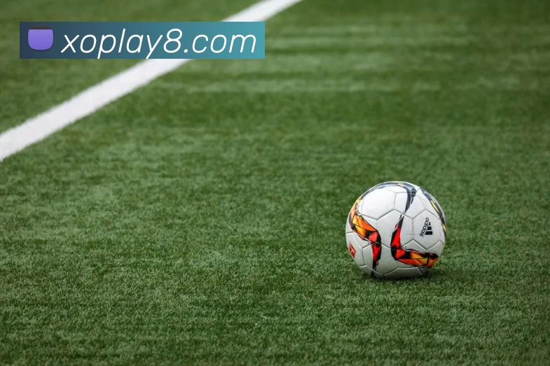 星欧娱乐官网全站App