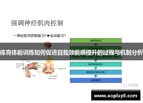 体育体能训练如何促进自我效能感提升的过程与机制分析